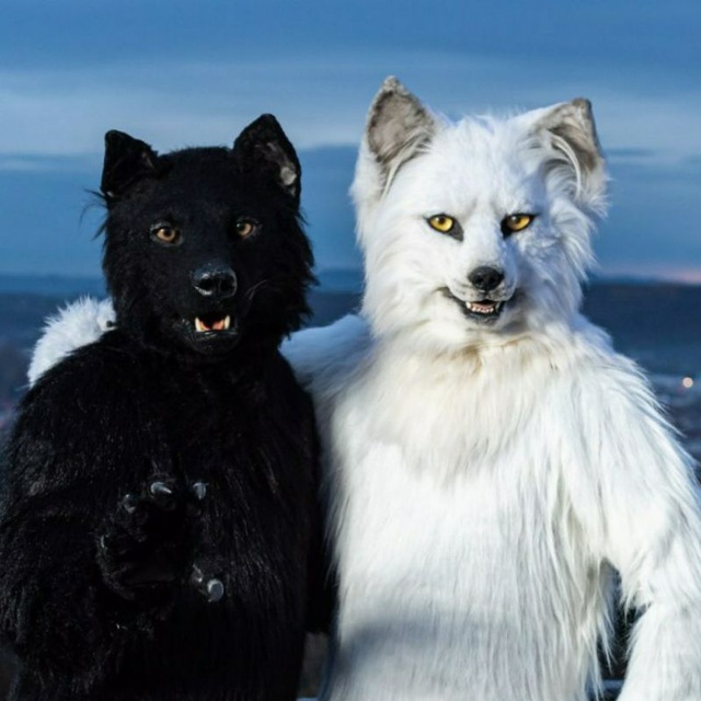 BerkWolf