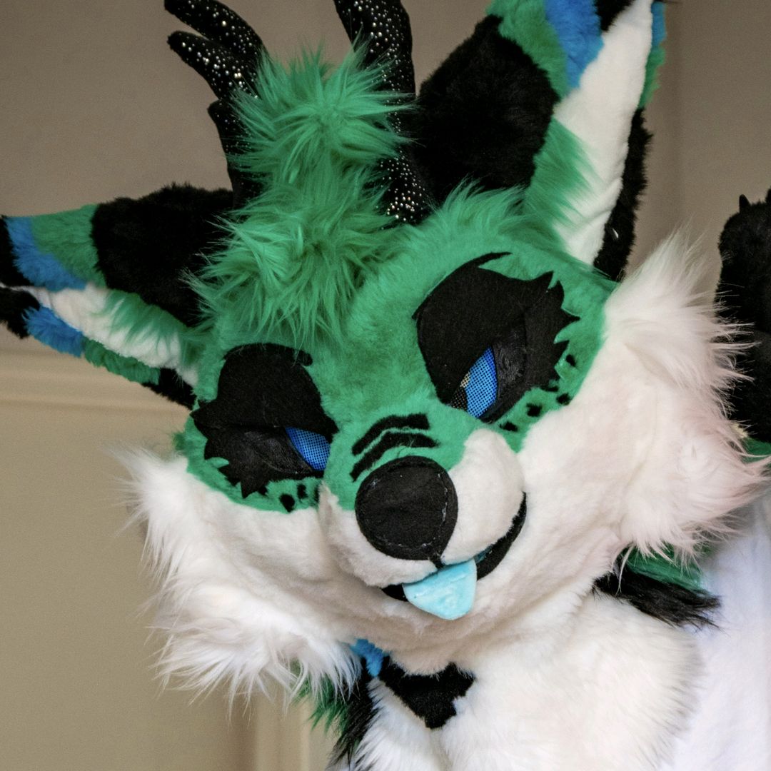 ColdTheFoxo