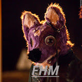 Furry Hideout Music Official