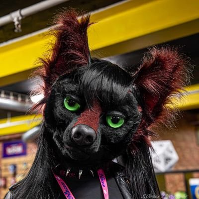 Lexie Furry Wolf