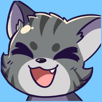 TheRaccoonCat
