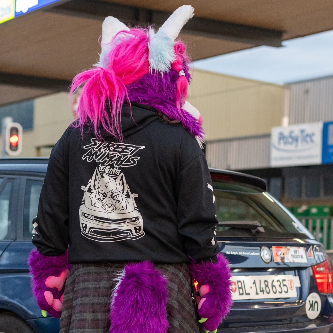 misaki_theswisswolf