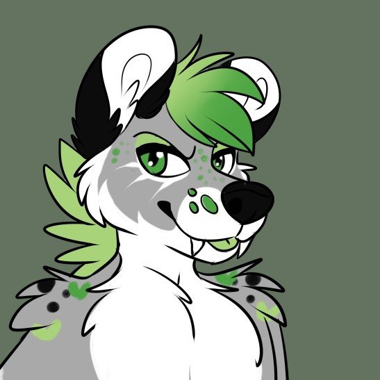 patches_skalli