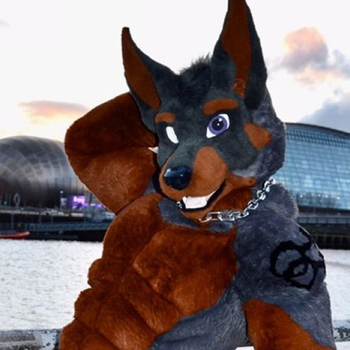 Avatar of Dobie-Ace