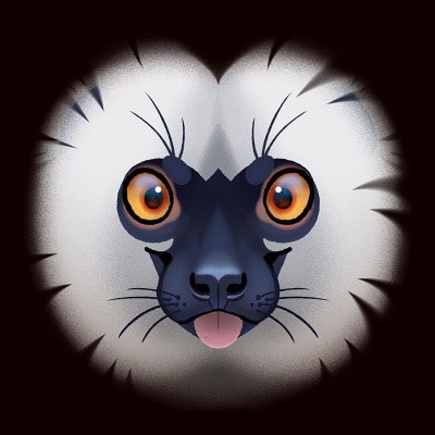 Avatar of Mr. Lemur