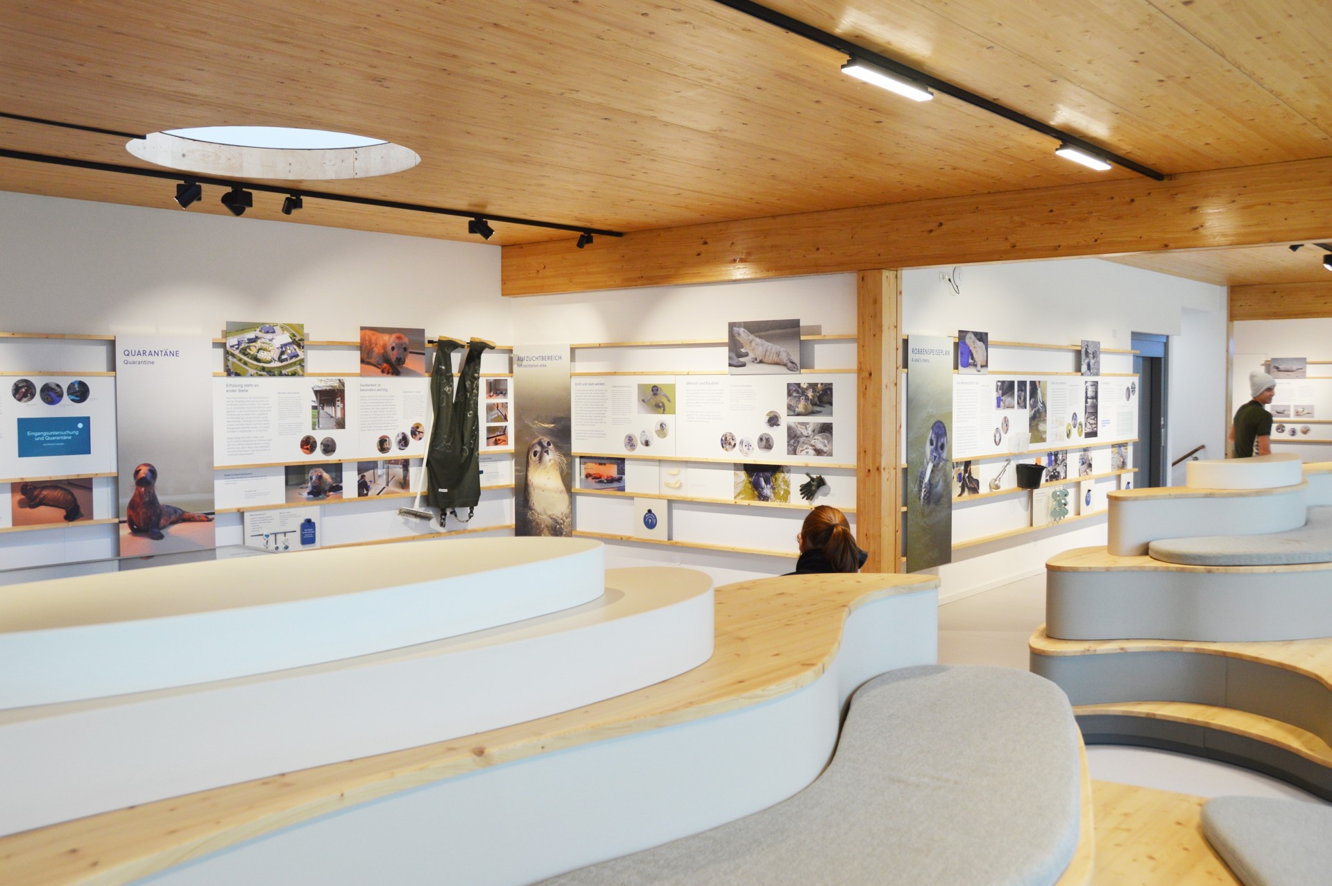 Exhibition Robbenblick