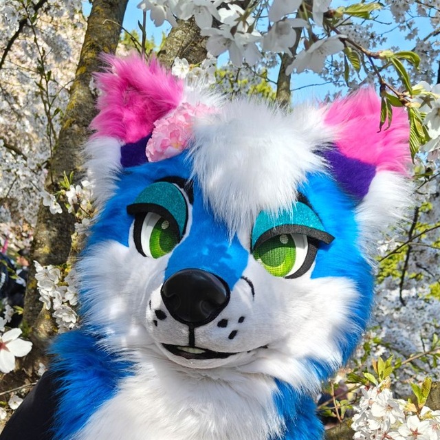 Hako