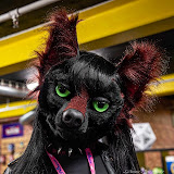 Lexie Furry Wolf