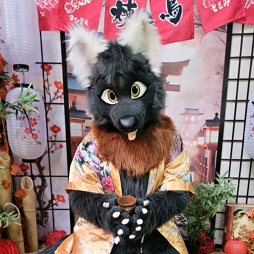 Taka Chaos