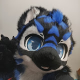TenzotheTiger