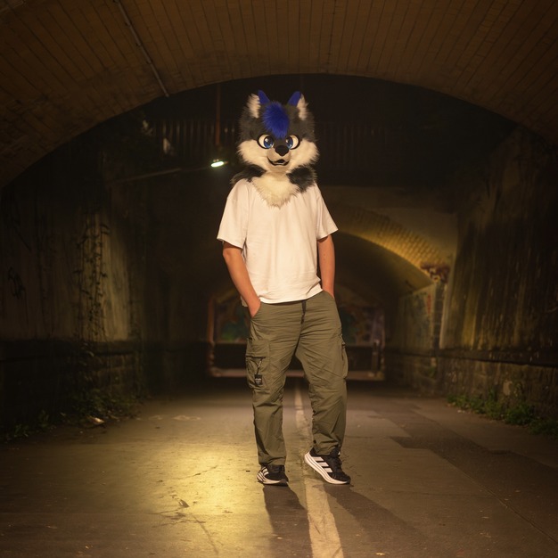 nyrox_furry