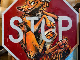 Coyote on a Stop Sign