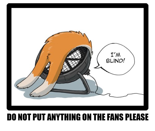 Fursuit Lounge Rules: Do not put anything on the fans